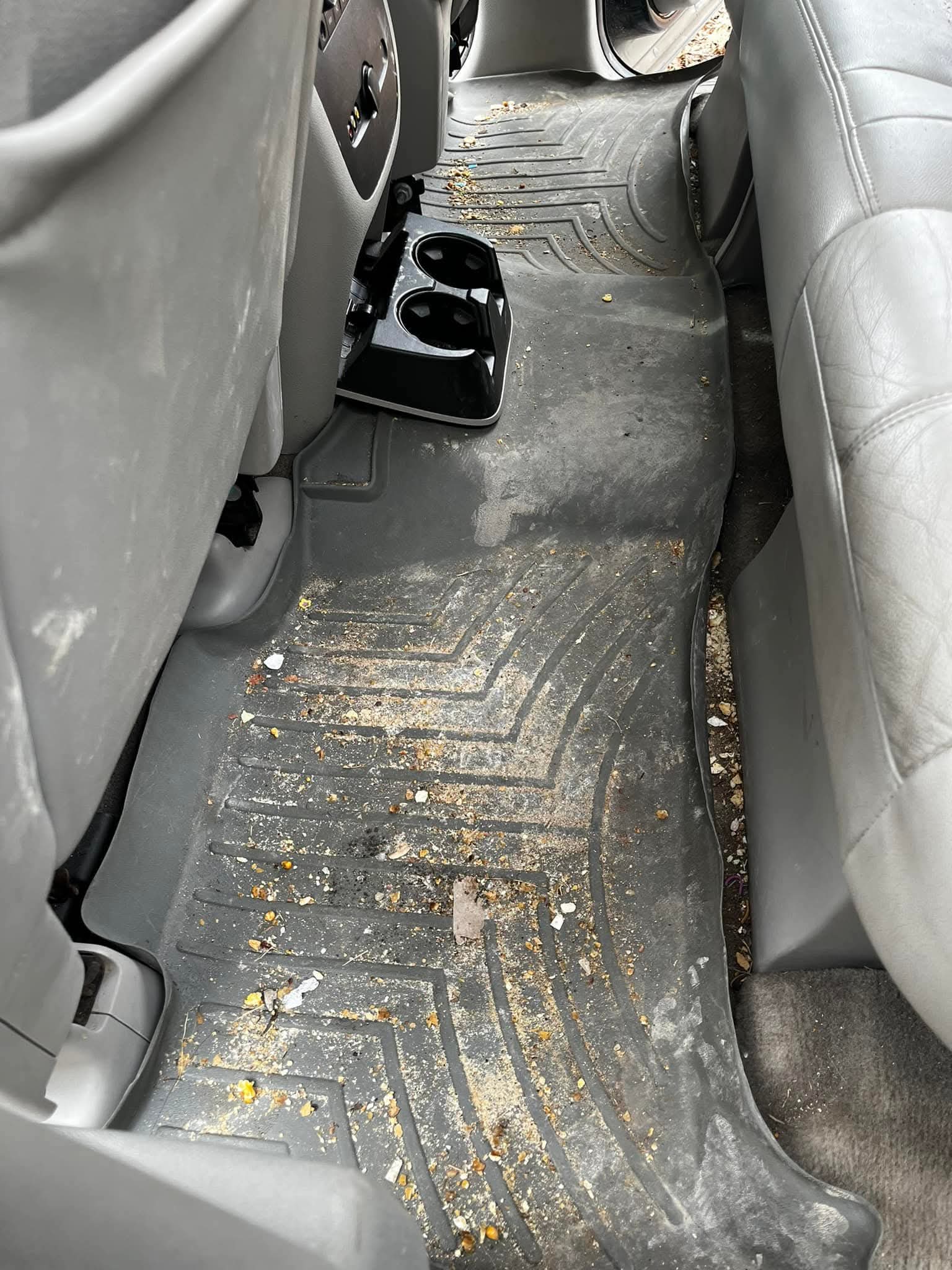 Filthy WeatherTech floor mat before cleaning — food and debris